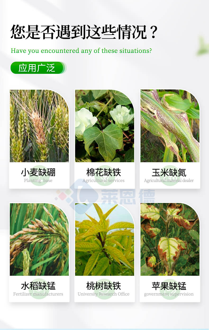 測(cè)土儀