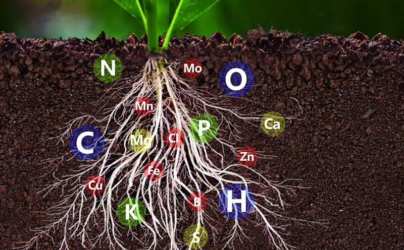 土壤中氮磷鉀含量的測定，土壤氮磷鉀檢測儀快速準(zhǔn)確