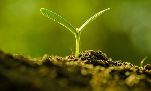 為避免誤導(dǎo)用戶，便攜式土壤水分速測(cè)儀使用需注意