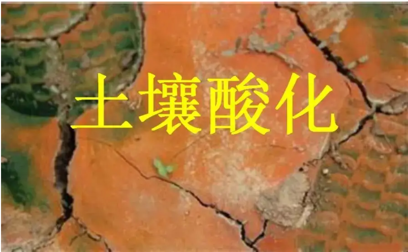 識(shí)別土壤“病”，土壤測試儀器是如何提高土壤免疫力的？