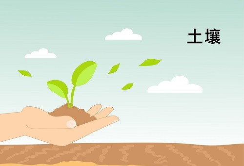 土壤墑情監(jiān)測(cè)系統(tǒng)在精細(xì)農(nóng)業(yè)發(fā)展中扮演著什么角色？