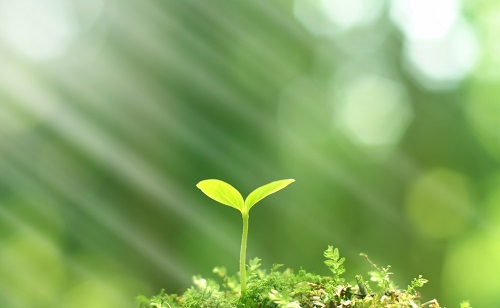 推廣測土配方施肥技術(shù)的有哪些好處？