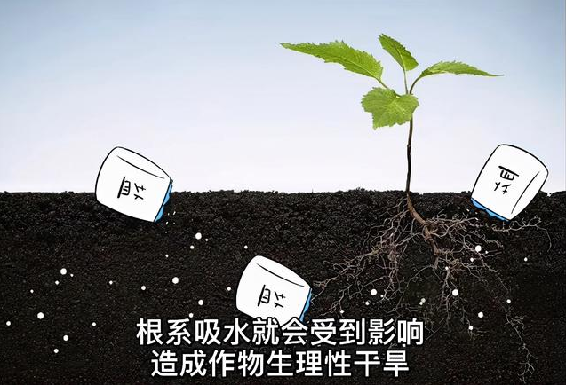 土壤EC值和pH值與作物生長的關(guān)系，利用土壤鹽分儀緩解土壤鹽漬化